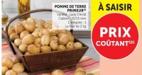 POMME DE TERRE PRIMEUR