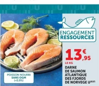Darne de saumon Atlantique des fjords de Norvège U
