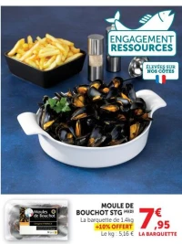 Moule de bouchot STG