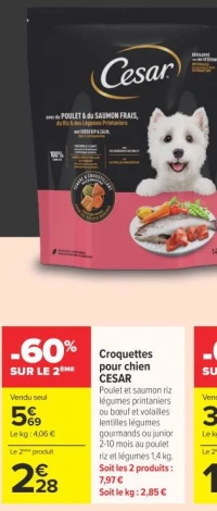 Croquettes pour chien CESAR