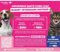 Carrefour Assurance Santé Chien Chat