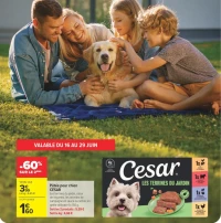 Pâtée pour chien CESAR Les Terrines du Jardin
