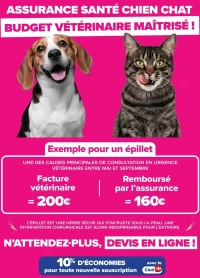 Carrefour Assurance - info