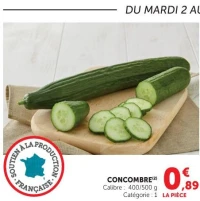 Concombre