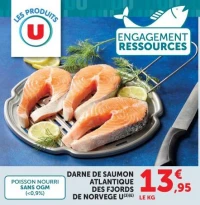 Darne de saumon Atlantique des fjords de Norvège U