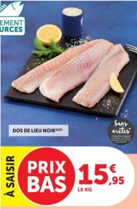 DOS DE LIEU NOIR