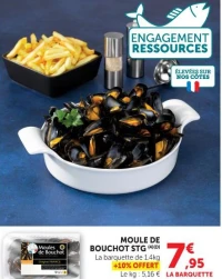 MOULE DE BOUCHOT STG