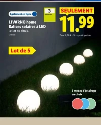 LIVARNO home Balises solaires à LED