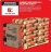 Promo Ciment gris CEM II B-L 32,5 R NF 30 kg