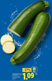 Courgette Bio