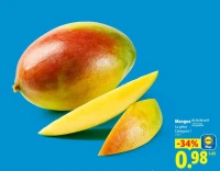 Mangue