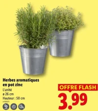 Herbes aromatiques en pot zinc