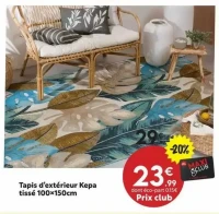 Tapis d'extérieur Kepa tissé 100x150cm