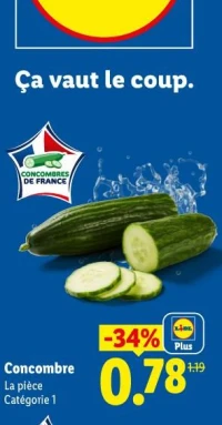Concombre