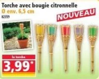 Torche avec bougie citronnelle