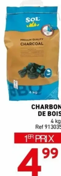 Charbon de bois Sol