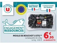 Moule de bouchot U STG