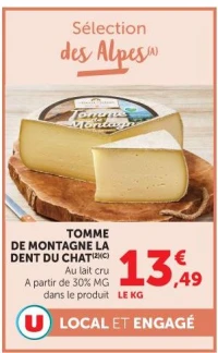TOMME DE MONTAGNE LA DENT DU CHAT