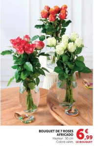 BOUQUET DE 7 ROSES AFRICADO
