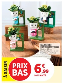 KALANCHOE FIGURINE MAITRESSE