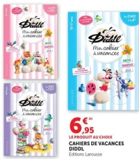 Cahiers de vacances Diddl Éditions Larousse