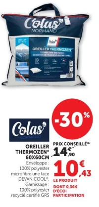 OREILLER THERMOZEN® 60X60CM