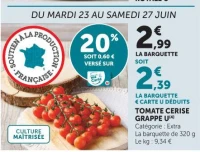 TOMATE CERISE GRAPPE U