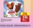 Promo MUCCI® 4 BÂTONNETS MILK MOUSE