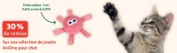 Jouets AniOne pour chat