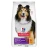 Promo Hill's Science Plan, aliment sec pour chien Sensitive Stomach & Skin, adulte races moyennes et grandes, au poulet 14 kg