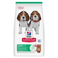 Hill's Science Plan croquettes pour chien, Medium Puppy avec de l’agneau et du riz 14 kg