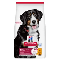 Hill's Croquettes pour chien Science Plan, Large Breed Adult Avec du poulet 14 kg