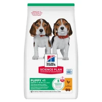 Hill's Science Plan croquettes pour chien, Medium Puppy Avec du poulet 14 kg