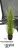 Promo Plante artificielle MARKUSFLUE