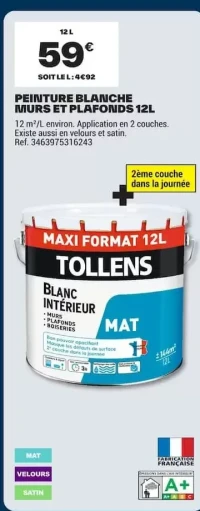 Peinture Blanche Murs et Plafonds Tollens 12L