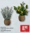 Promo HOME CREATION® PLANTE ARTIFICIELLE EN POT