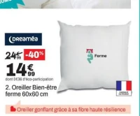 Dreaméa Oreiller Bien-être ferme 60x60 cm