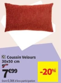 Coussin Velours 30x50 cm