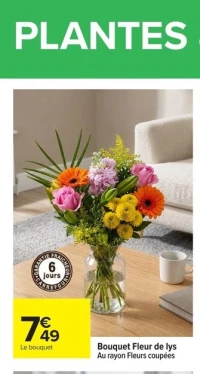 Bouquet Fleur de lys