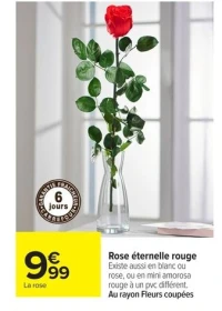 Rose éternelle rouge