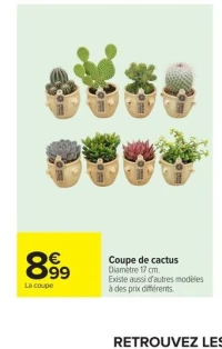 Coupe de cactus