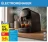Promo Machine à dosettes L'OR BARISTA Philips