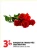 Promo Bouquet de 5 roses très gros boutons