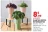 Promo PLANTES VERTES RETOMBANTES