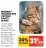 Promo Weenect Traceur GPS XS Pour Chats Blanc