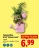 Promo Composition d'été "Flamant rose"