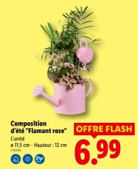 Composition d'été "Flamant rose"
