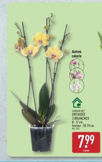 GARDENLINE® ORCHIDÉE 3 BRANCHES