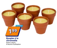 Bougies à la citronnelle