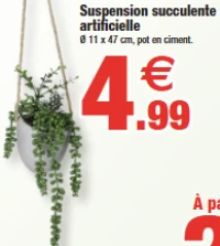 Suspension succulente artificielle